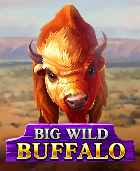 Play Big Wild Buffalo at Bet Swagger Casino